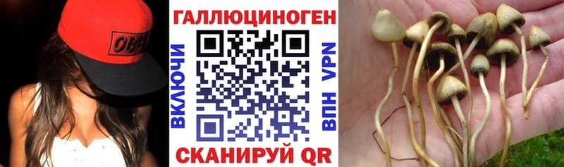 МЕГА ссылки  Фокино  Галлюциногенные грибы прущие грибы 